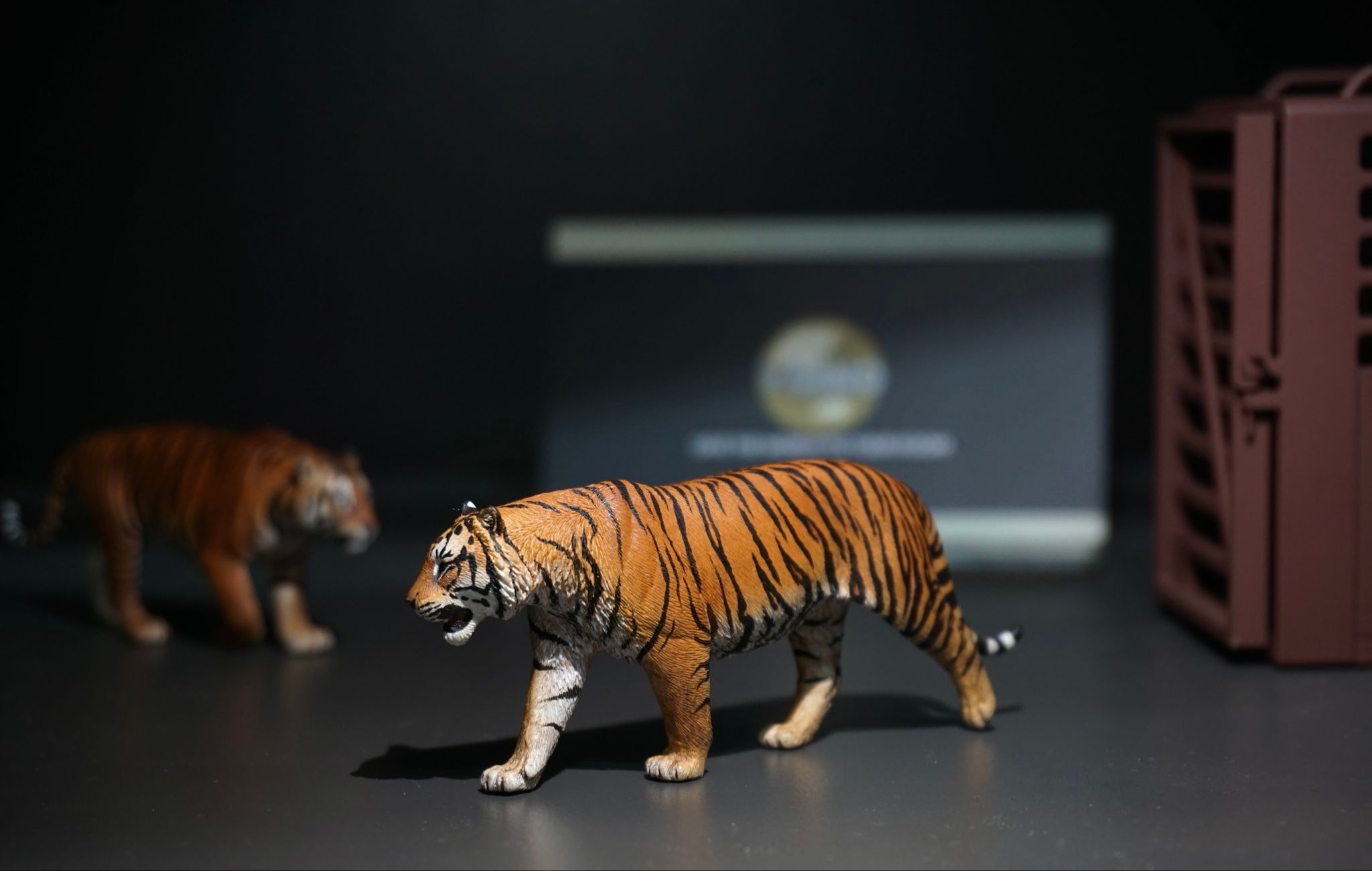  Mô hình hổ bengal, sumatra tỷ lệ 1/35 Tallrhino studio 