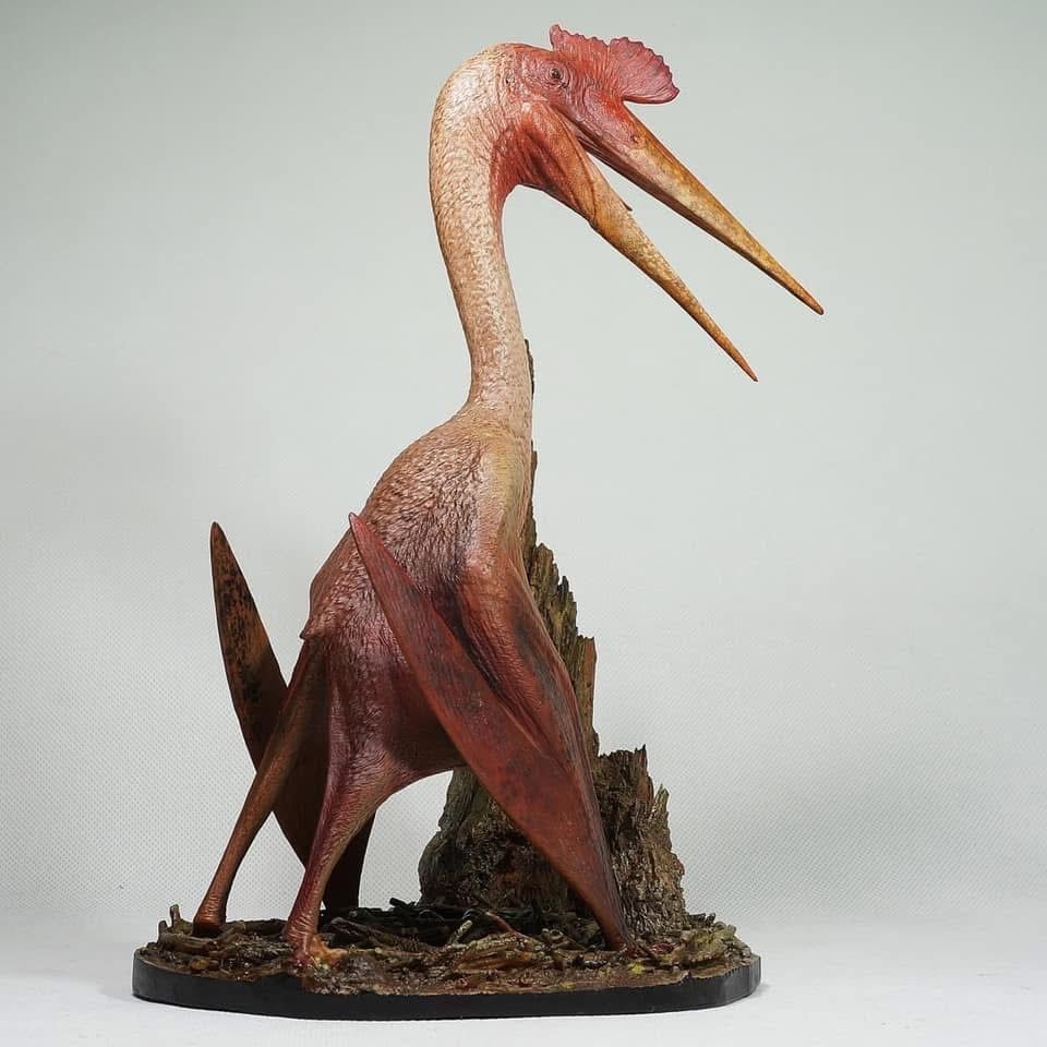 Mô hình quetzalcoatlus Declay studio tỷ lệ 1/35 & 1/20 