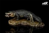  Mô hình cá sấu mỹ (American Alligator) The Crocs Man studio | .. 