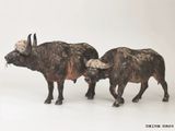  Mô hình Trâu rừng châu phi cape buffalo - Wanshou studio. 