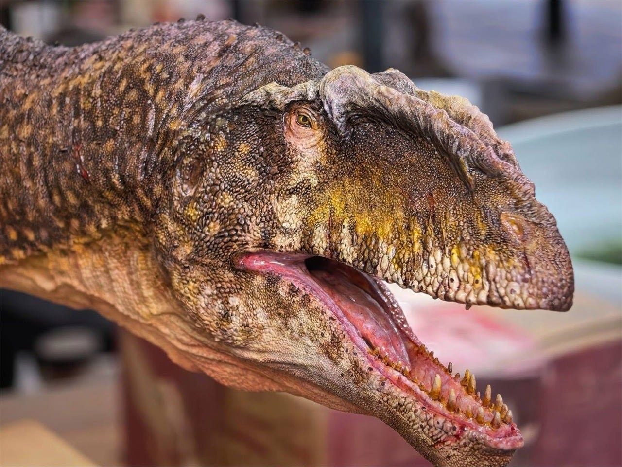  Mô hình khủng long răng cá mập Giganotosaurus Carolinii Scene Model Resin Statue By David Krentz | .. 