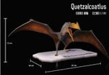  Mô hình Quetzalcoatlus Dino Dream studio. 