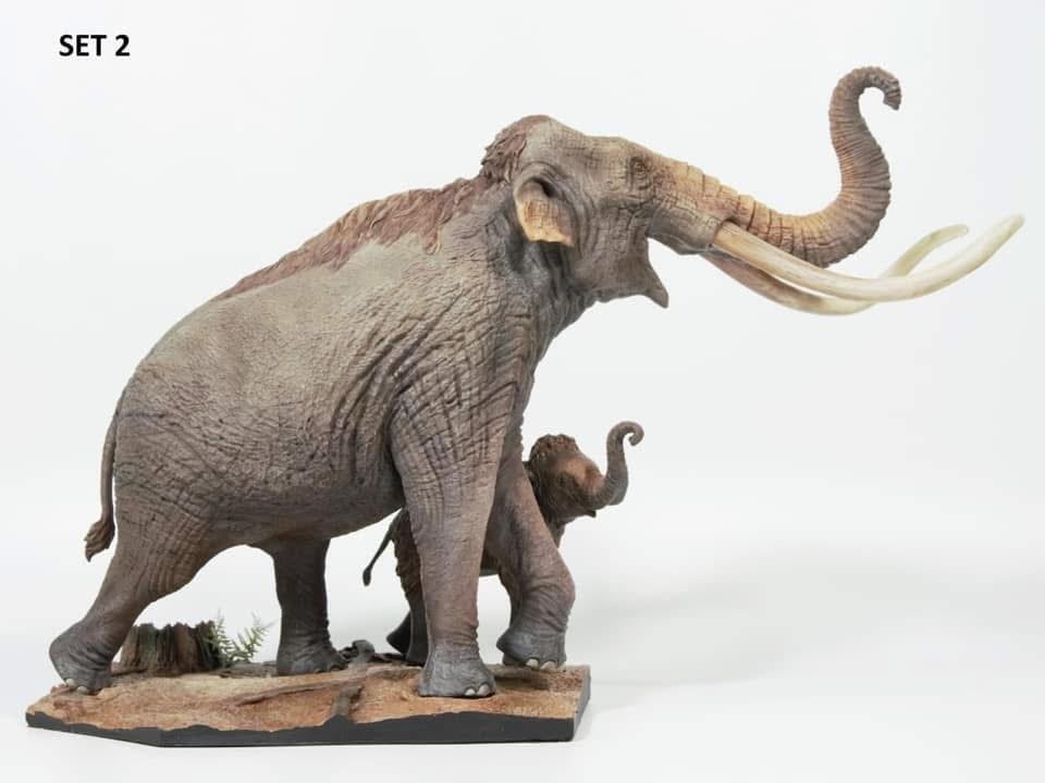  Mô hình loài mammuthus comlumbi DeClay studio tỷ lệ 1/20 & 1/35 