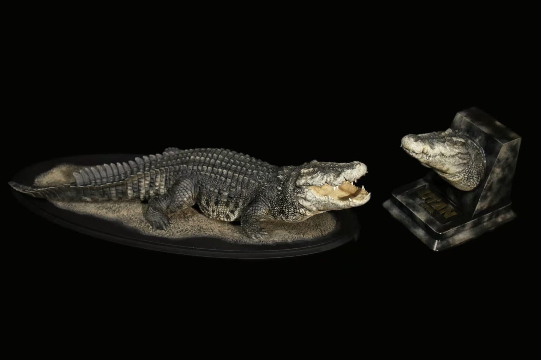  Mô hình cá sấu Utan 1964 the Crocs Man studio | .. 