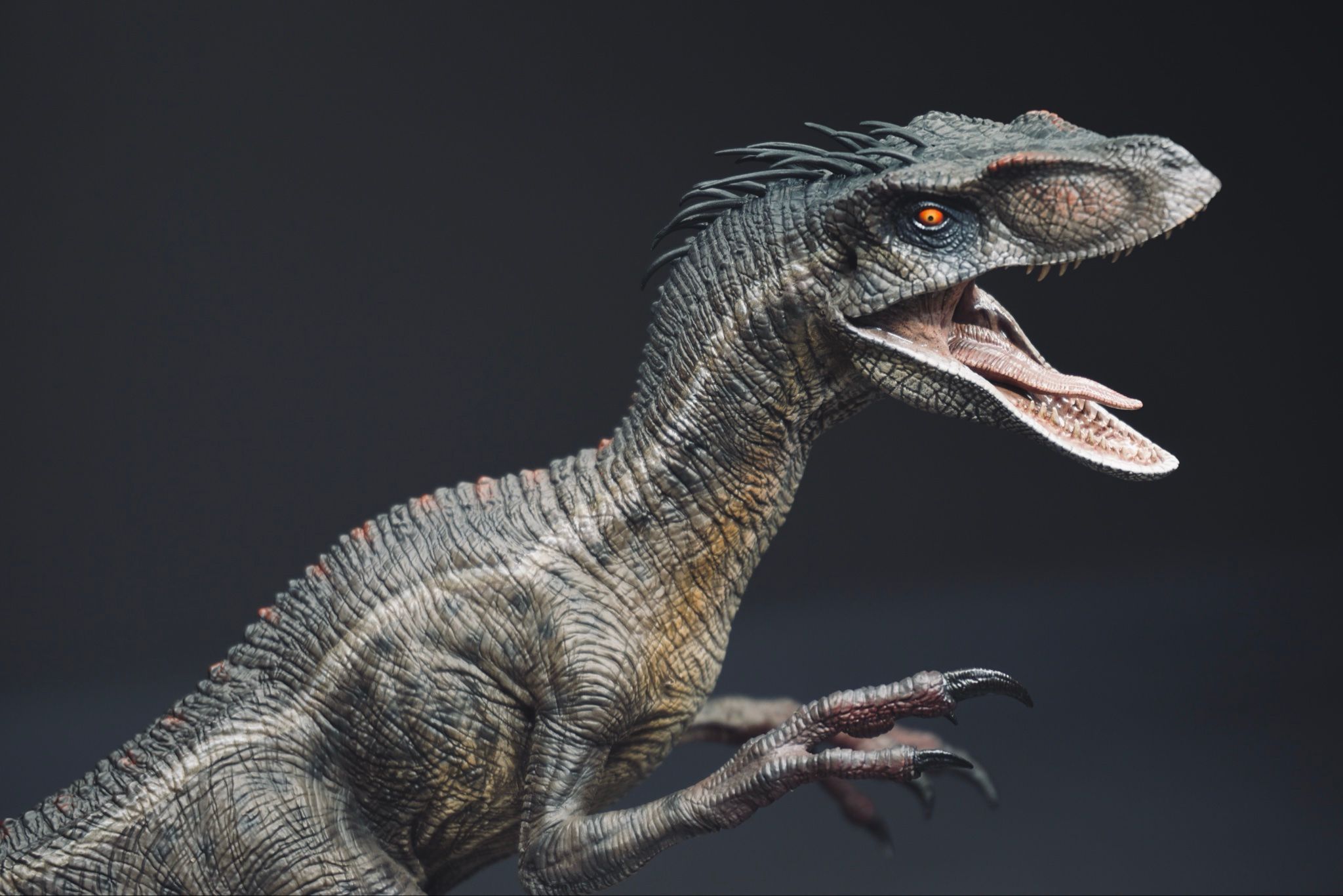  Mô hình Velociraptor wdragon studio bản quyền phim jurassic park 3. 