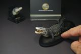  Mô hình cá sấu Utan 1964 the Crocs Man studio | .. 