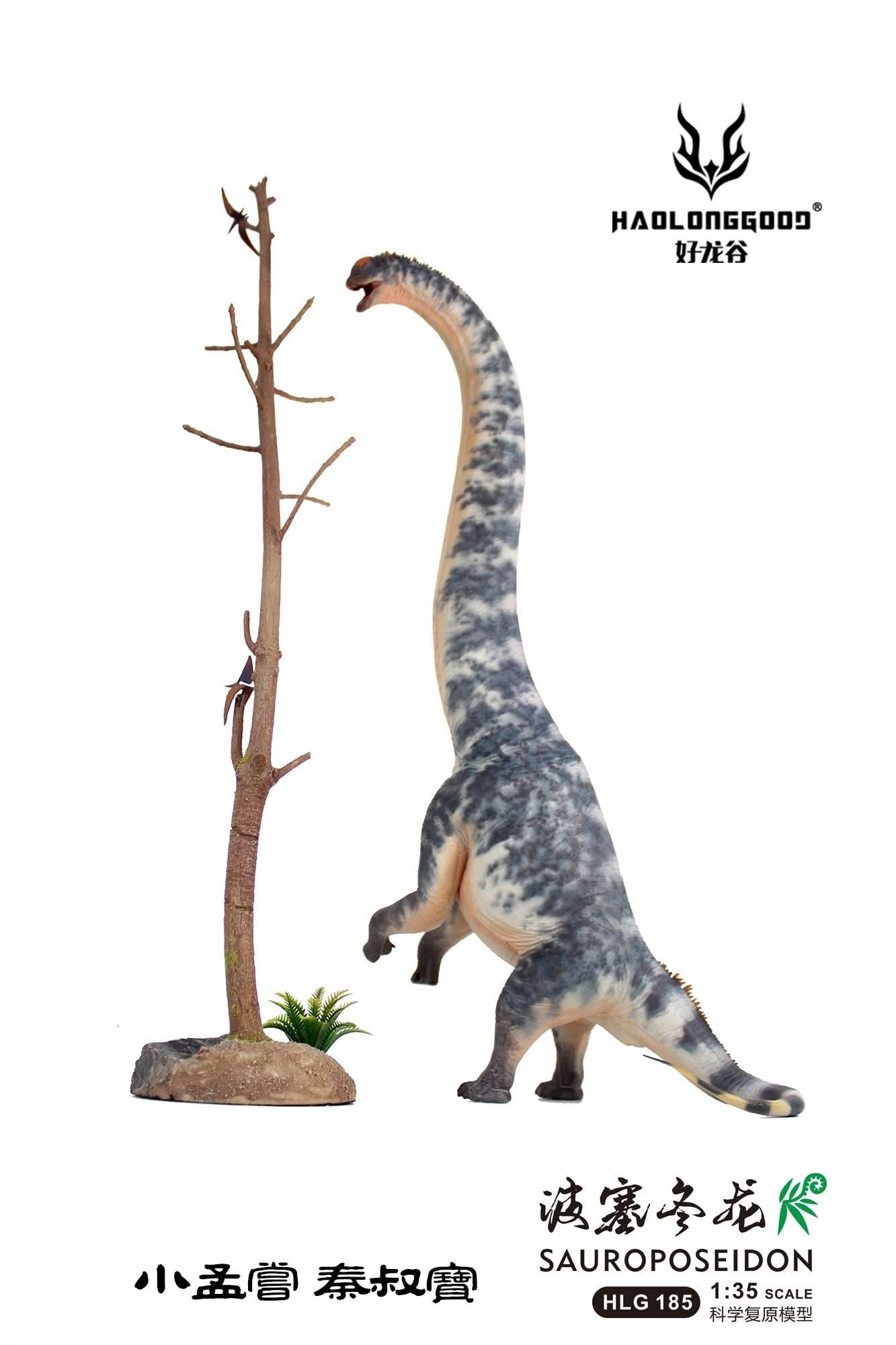  Mô hình tĩnh Sauroposeidon Haolonggood tỷ lệ 1/35 | 𝐕𝐈𝐃𝐈𝐍𝐎.𝐕𝐍 