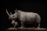  Mô hình động vật Tê giác trắng tỷ lệ 1/10 & 1/15 Declay studio. 