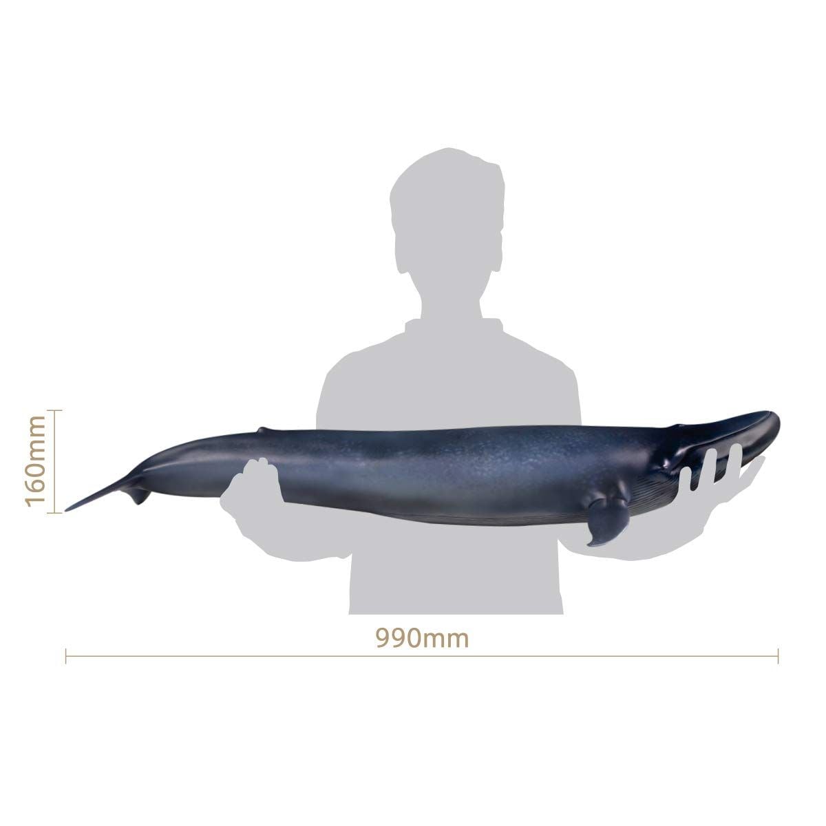  Mô hình cá voi xanh PNSO tỷ lệ 1/35 | 𝐕𝐈𝐃𝐈𝐍𝐎.𝐕𝐍. 