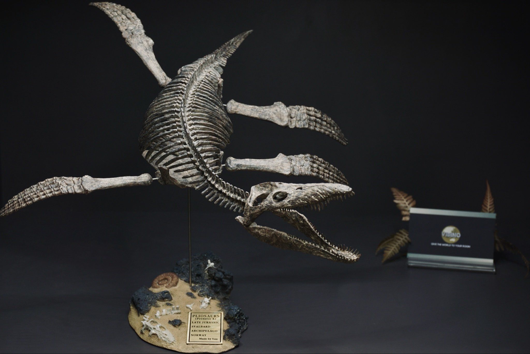  Mô hình xương Predator X By Yan tỷ lệ 1/18 | 𝐕𝐈𝐃𝐈𝐍𝐎.𝐕𝐍. 