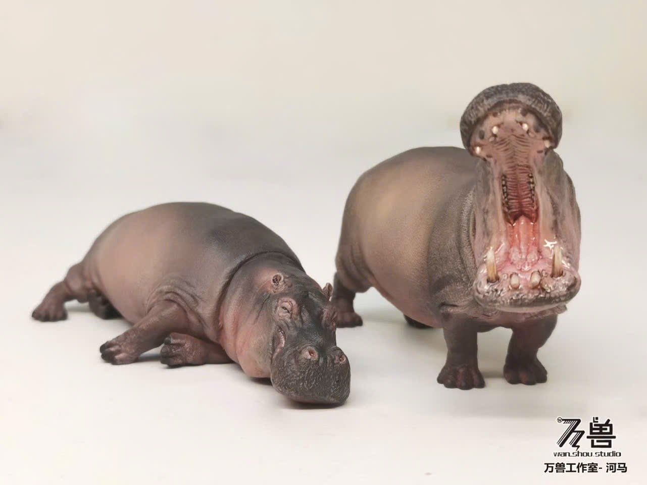  Mô hình Hà mã Wanshou studio | 𝐕𝐈𝐃𝐈𝐍𝐎.𝐕𝐍. 