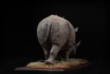  Mô hình động vật Tê giác trắng tỷ lệ 1/10 & 1/15 Declay studio. 
