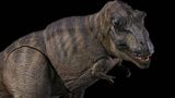  Mô hình khủng long T-rex  Ember 2.0 Nanmu Benxin tỷ lệ 1/35.  | .. 