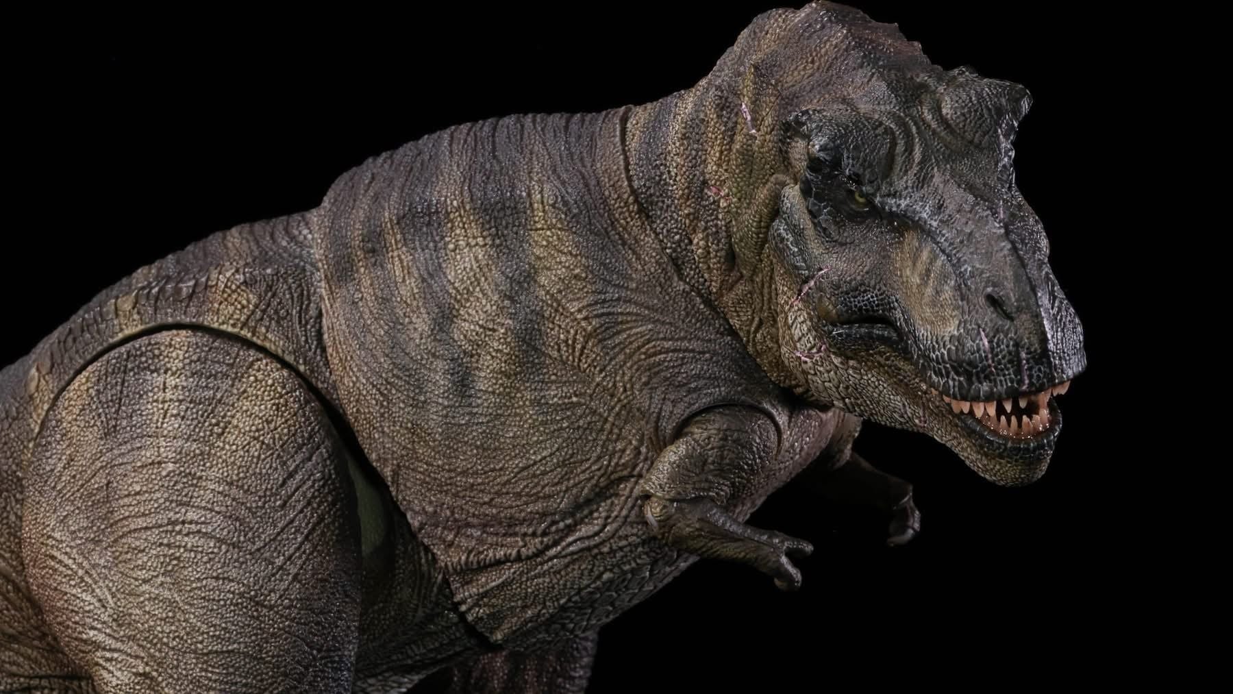  Mô hình khủng long T-rex  Ember 2.0 Nanmu Benxin tỷ lệ 1/35.  | .. 