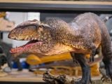  Mô hình khủng long răng cá mập Giganotosaurus Carolinii Scene Model Resin Statue By David Krentz | .. 