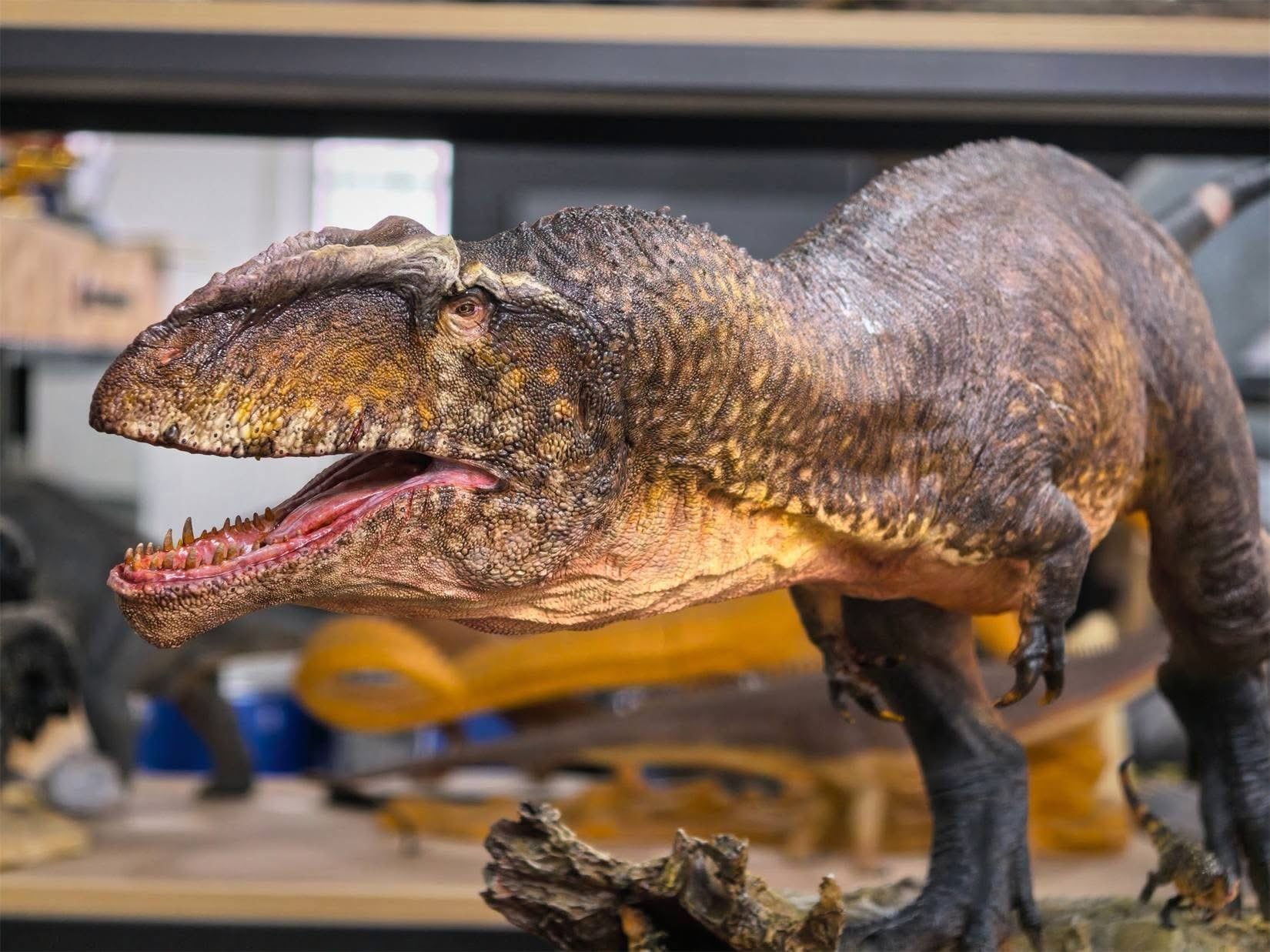  Mô hình khủng long răng cá mập Giganotosaurus Carolinii Scene Model Resin Statue By David Krentz | .. 