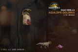  Mô hình loài Aquilops Dolores 1/5- Jurassic world Rebirth - Dino Dream studio. 