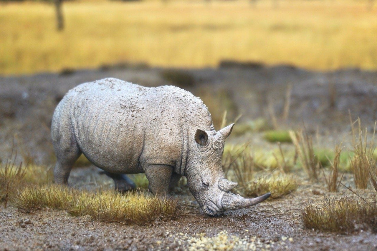  Mô hình động vật tê giác trắng hunting studio tỷ lệ 1/35. 