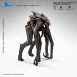  Mô hình Muto Queen Seri Godzilla king of the monster 2019 Hiya Toys| .. 