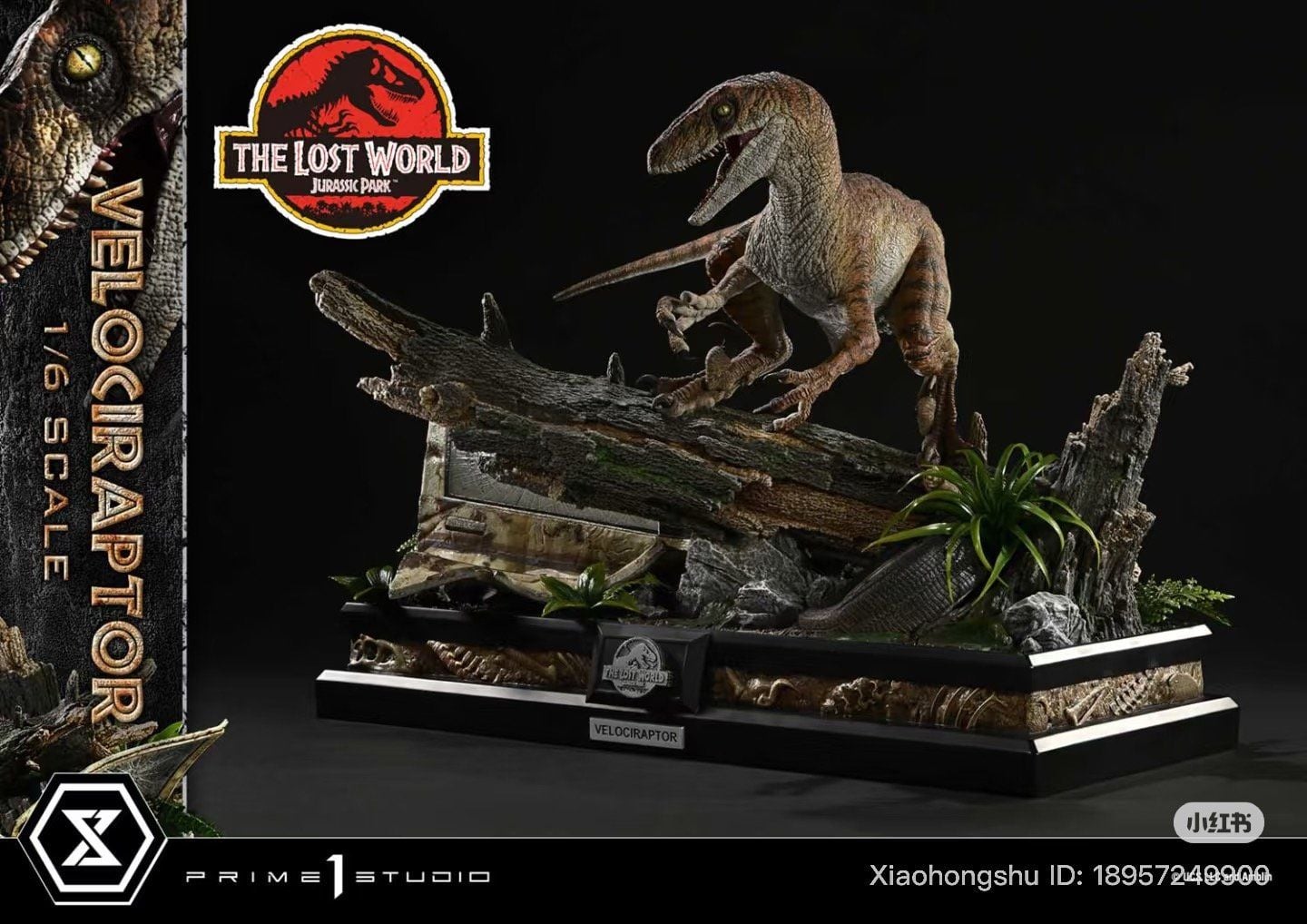  Mô hình velociraptor Jurassic Park Prime 1 studio tỷ lệ 1/6 | 𝐕𝐈𝐃𝐈𝐍𝐎.𝐕𝐍. 