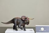  Mô hình Nasutoceratops tỷ lệ 1/35 hãng Dino Dream studio. 