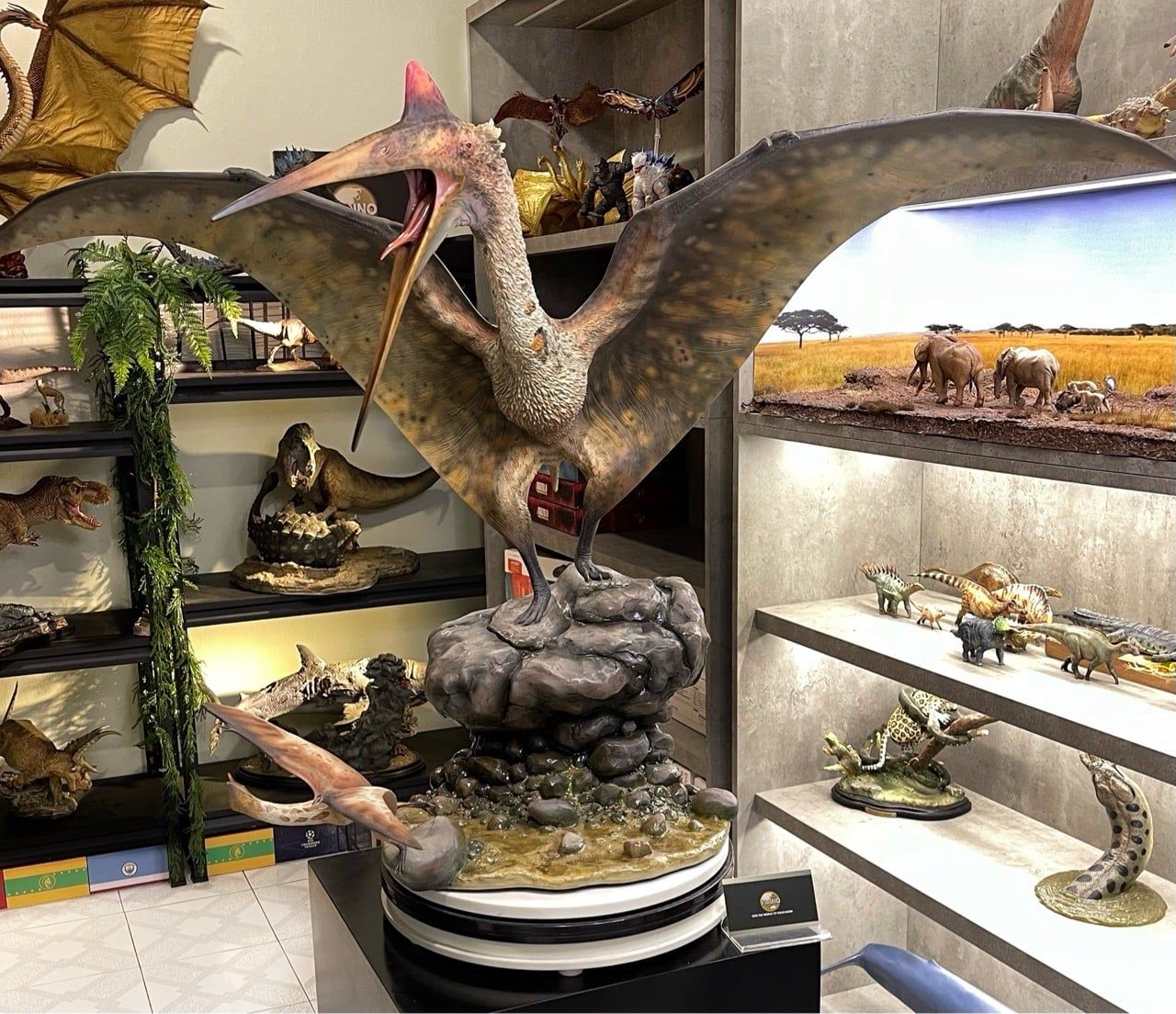  Mô hình loài quetzalcoatlus Musee studio tỷ lệ 1/10. 