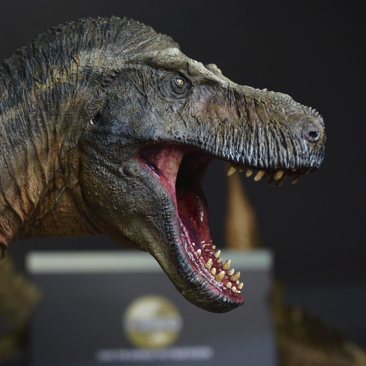  Mô hình Trex ReGina Mundi 2.0 tỷ lệ 1/35 | 𝐕𝐈𝐃𝐈𝐍𝐎.𝐕𝐍. 