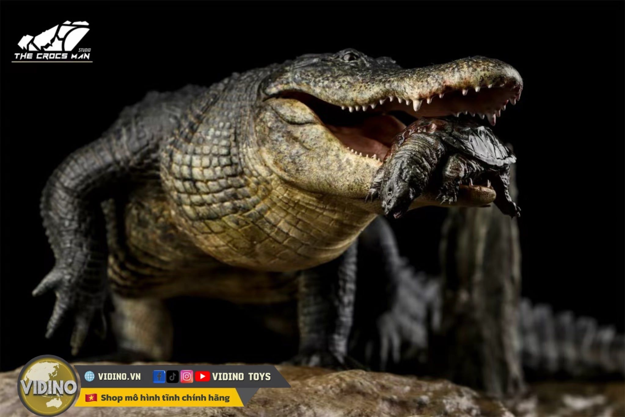  Mô hình cá sấu mỹ (American Alligator) The Crocs Man studio | .. 