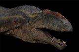  Mô hình khủng long răng cá mập Giganotosaurus Carolinii Scene Model Resin Statue By David Krentz | .. 