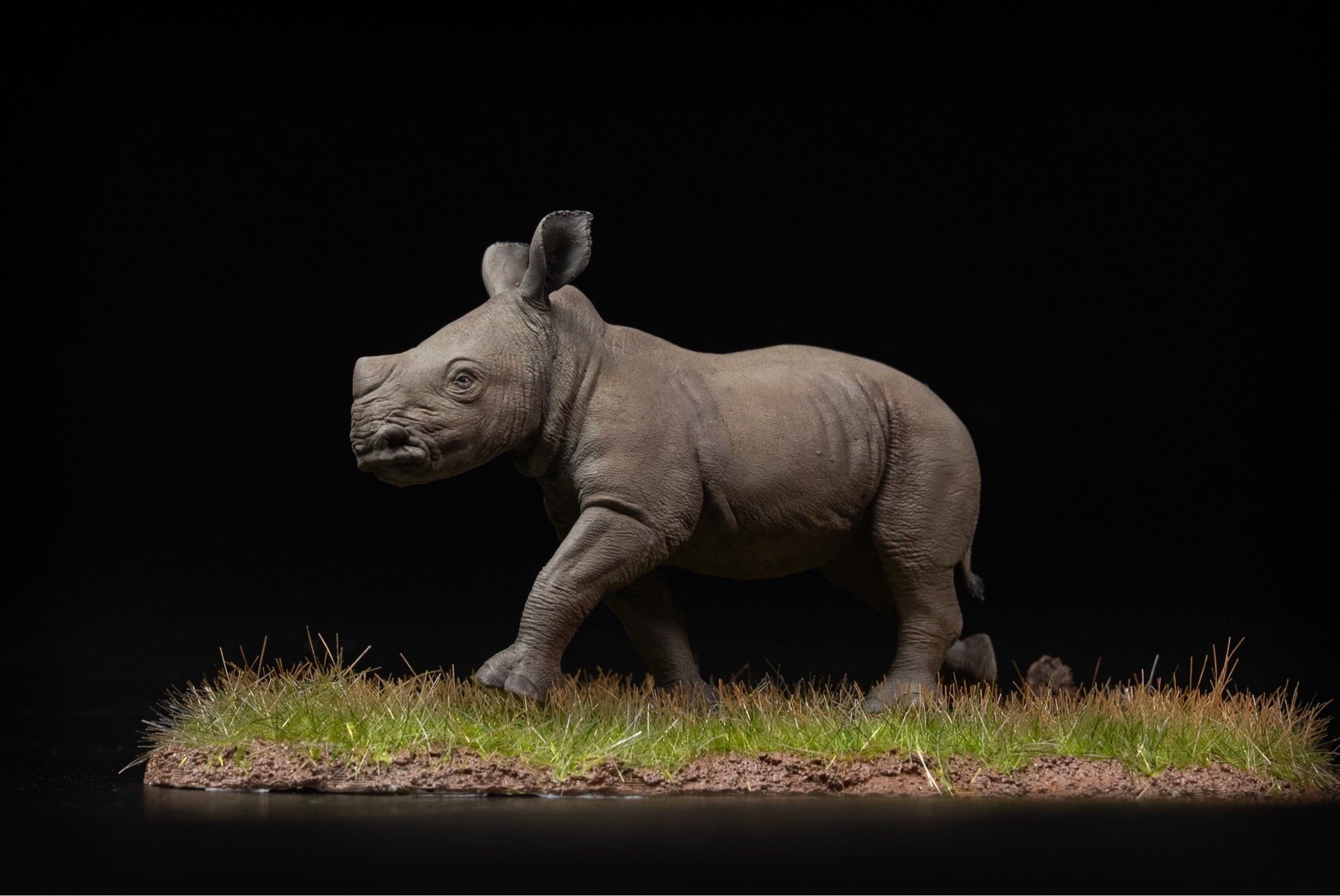  Mô hình động vật Tê giác trắng tỷ lệ 1/10 & 1/15 Declay studio. 