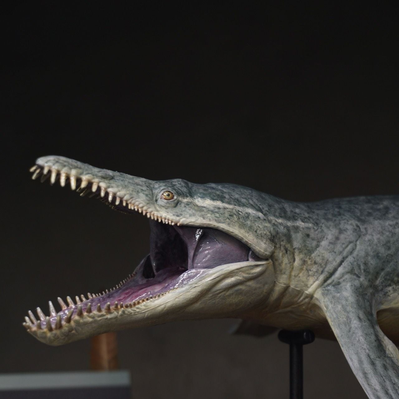  Mô hình Kronosaurus hãng pnso 1:35. 