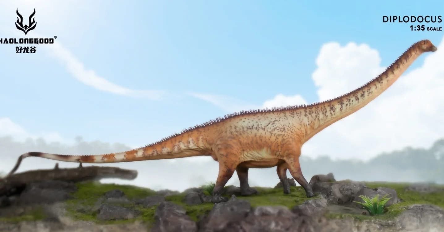  Mô hình khủng long cổ dài Diplodocus Haolonggood tỷ lệ 1/35 | 𝐕𝐈𝐃𝐈𝐍𝐎.𝐕𝐍. 