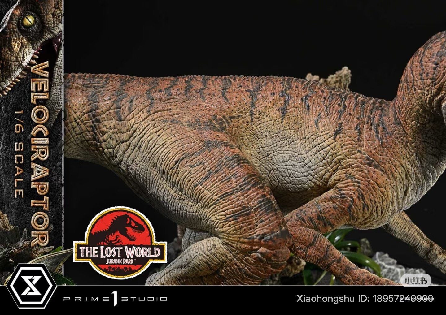  Mô hình velociraptor Jurassic Park Prime 1 studio tỷ lệ 1/6 | 𝐕𝐈𝐃𝐈𝐍𝐎.𝐕𝐍. 
