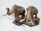  Mô hình loài mammuthus comlumbi DeClay studio tỷ lệ 1/20 & 1/35 