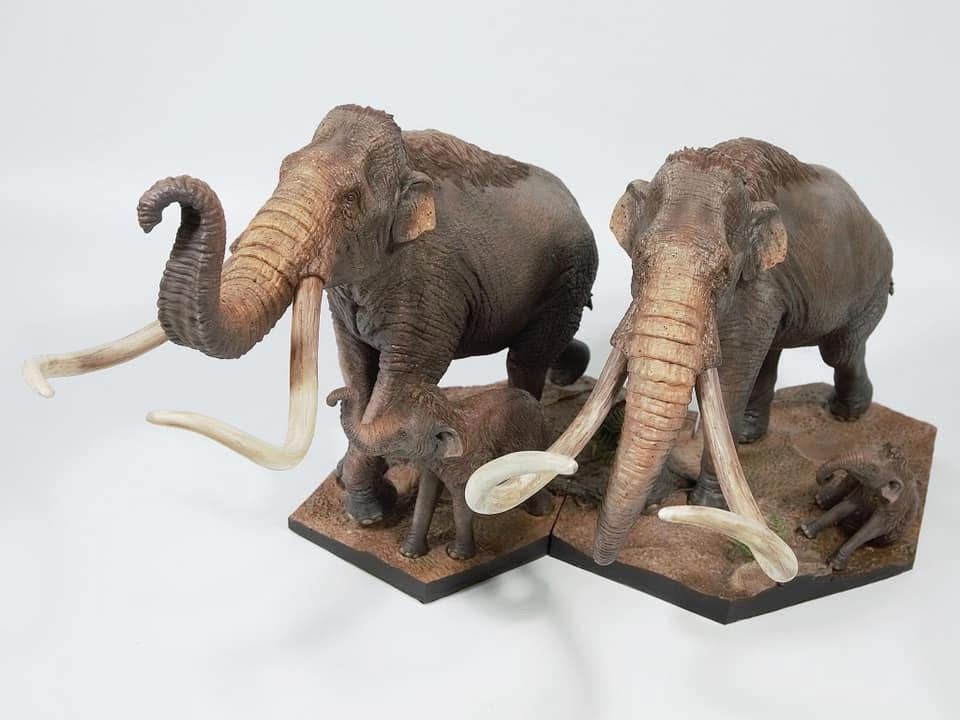  Mô hình loài mammuthus comlumbi DeClay studio tỷ lệ 1/20 & 1/35 