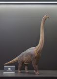  Mô hình Khủng long Brachiosaurus Wdragon studio 1:35. 