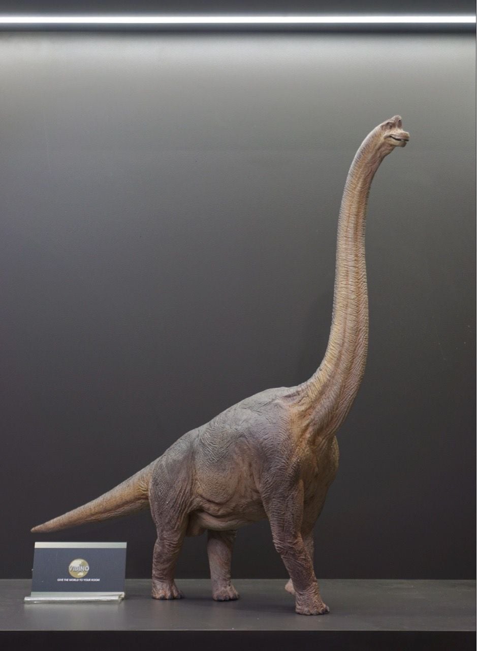  Mô hình Khủng long Brachiosaurus Wdragon studio 1:35. 