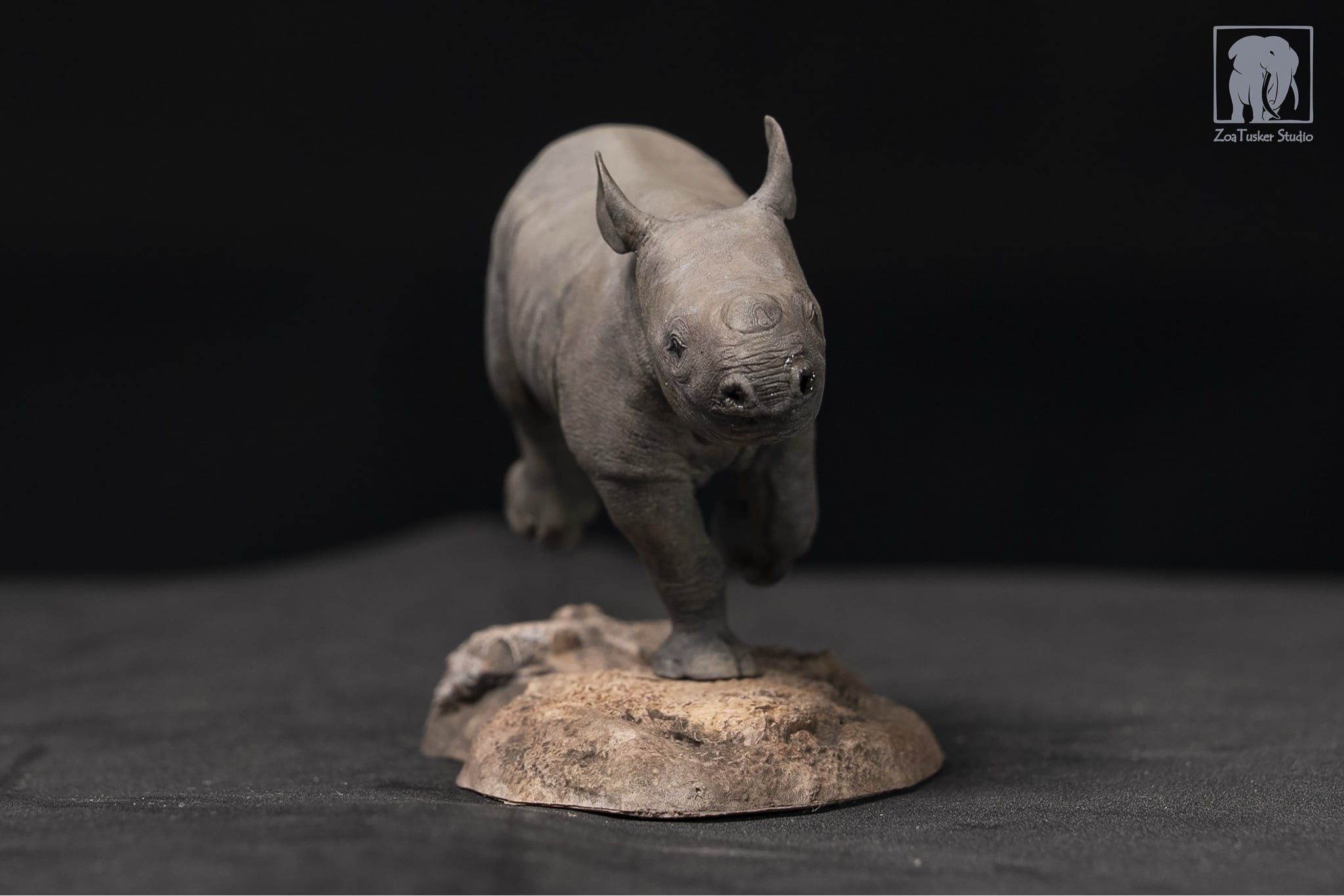  Mô hình Tê Giác Đen ZoaTusker Studio | 𝐕𝐈𝐃𝐈𝐍𝐎.𝐕𝐍. 