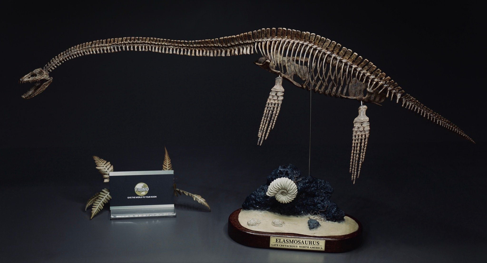  Mô hình xương khủng long Elasmosaurus by yan sculpt 1/18 | 𝐕𝐈𝐃𝐈𝐍𝐎.𝐕𝐍. 