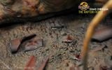  Mô hình Velociraptor Fight 1/15 Dino Dream studio 