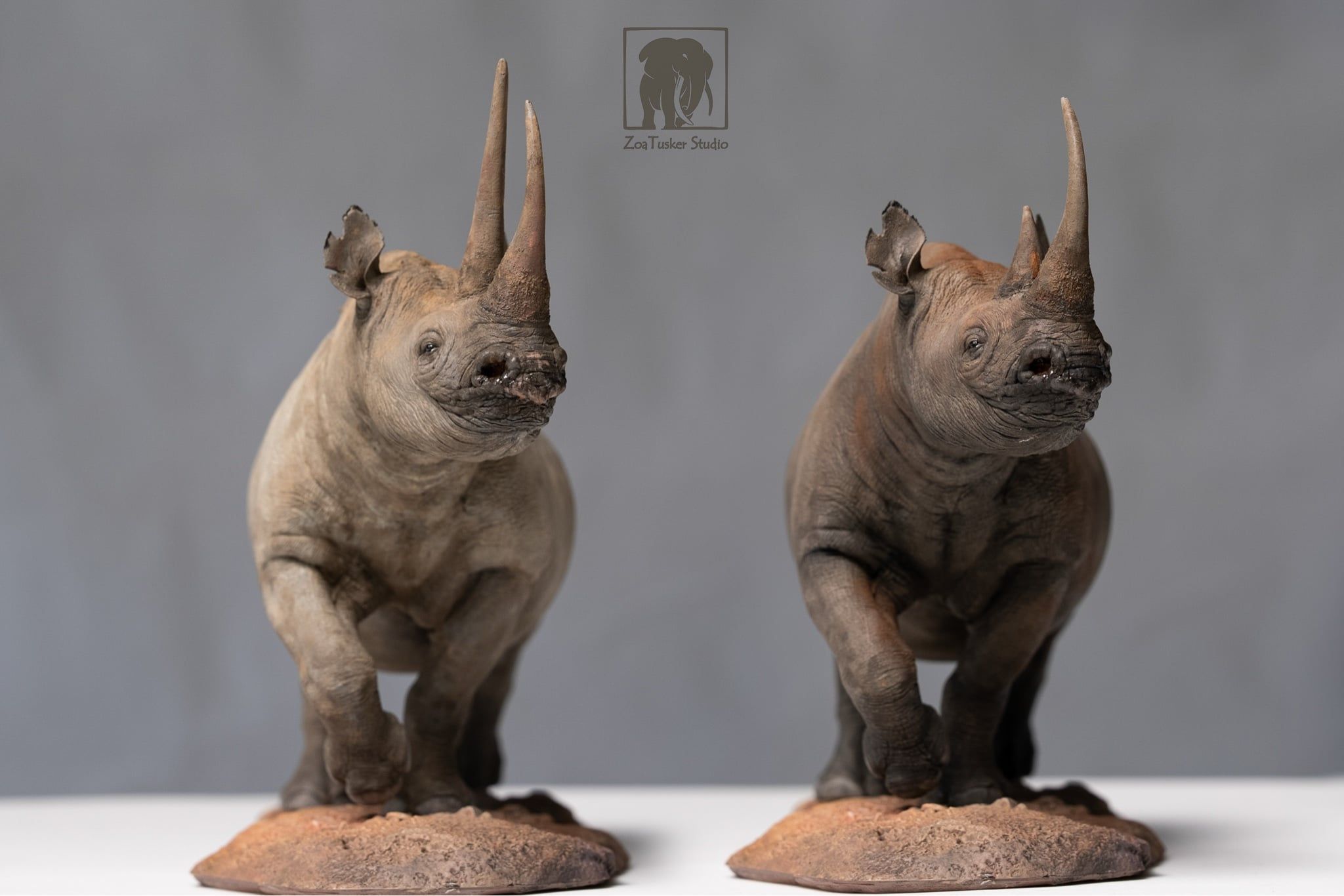  Mô hình Tê Giác Đen ZoaTusker Studio | 𝐕𝐈𝐃𝐈𝐍𝐎.𝐕𝐍. 