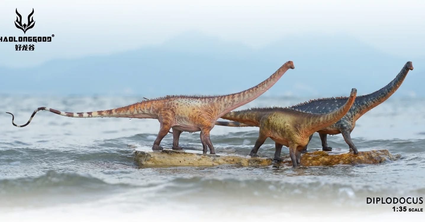 Mô hình khủng long cổ dài Diplodocus Haolonggood tỷ lệ 1/35 | 𝐕𝐈𝐃𝐈𝐍𝐎.𝐕𝐍. 