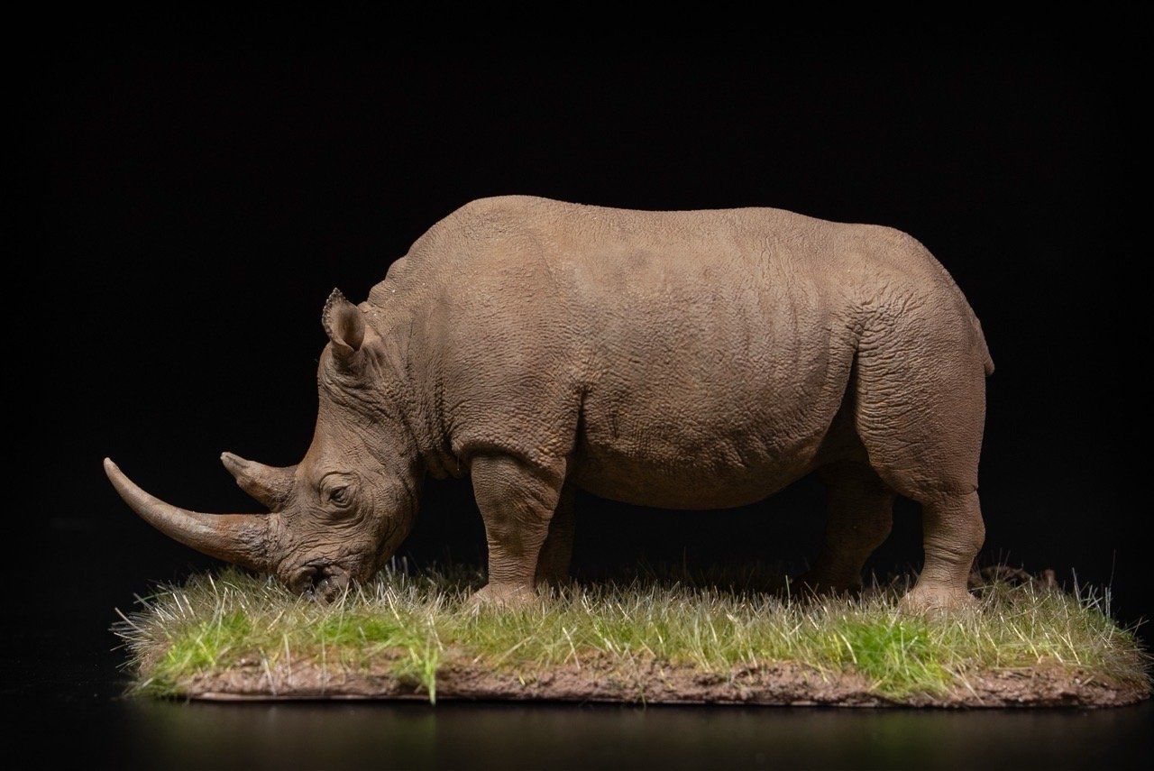  Mô hình động vật Tê giác trắng tỷ lệ 1/35 Declay studio. 