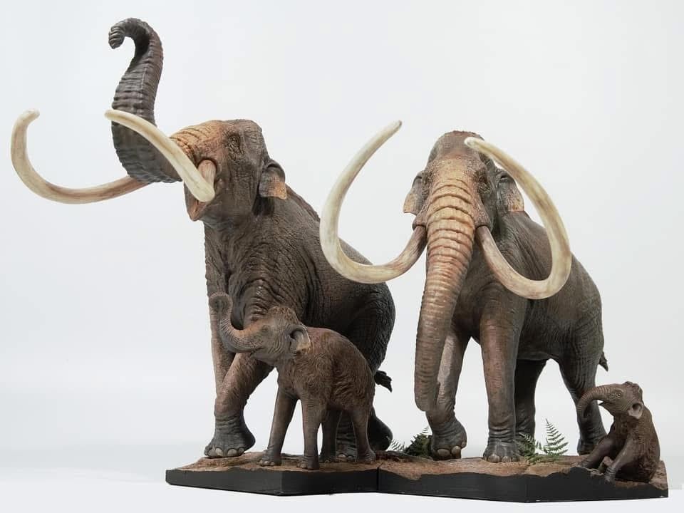  Mô hình loài mammuthus comlumbi DeClay studio tỷ lệ 1/20 & 1/35 