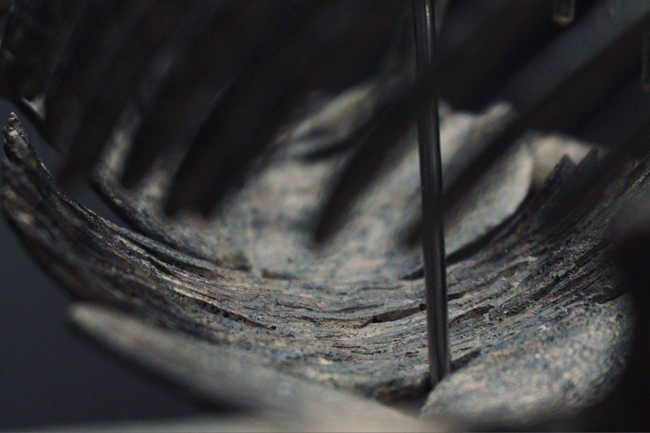  Mô hình xương Predator X By Yan tỷ lệ 1/18 | 𝐕𝐈𝐃𝐈𝐍𝐎.𝐕𝐍. 