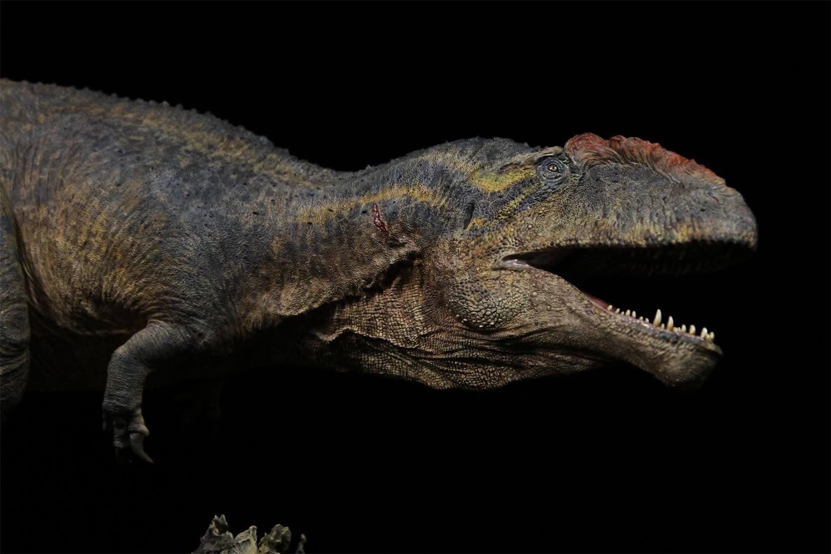  Mô hình khủng long răng cá mập Giganotosaurus Carolinii Scene Model Resin Statue By David Krentz | .. 