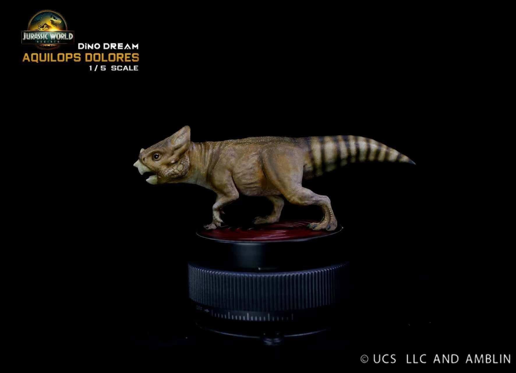  Mô hình loài Aquilops Dolores 1/5- Jurassic world Rebirth - Dino Dream studio. 