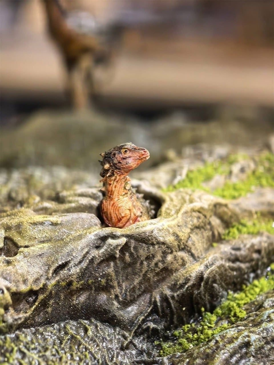  Mô hình khủng long răng cá mập Giganotosaurus Carolinii Scene Model Resin Statue By David Krentz | .. 