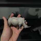  Mô hình động vật tê giác trắng hunting studio tỷ lệ 1/35. 