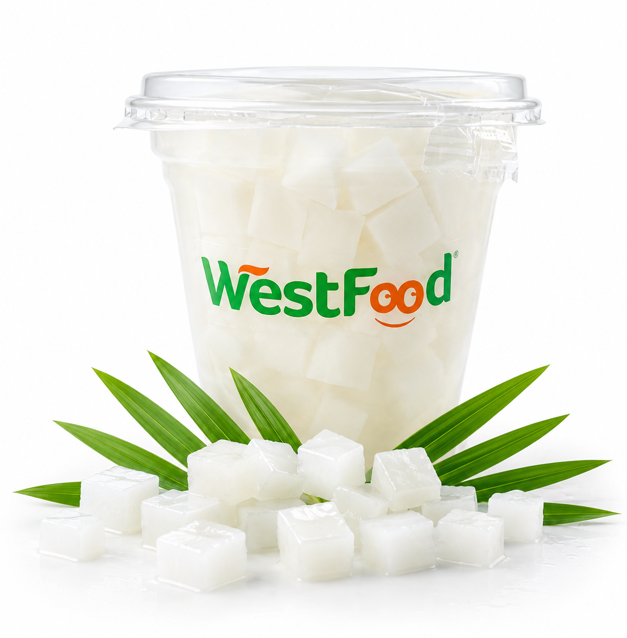  Nata de Coco in syrup 